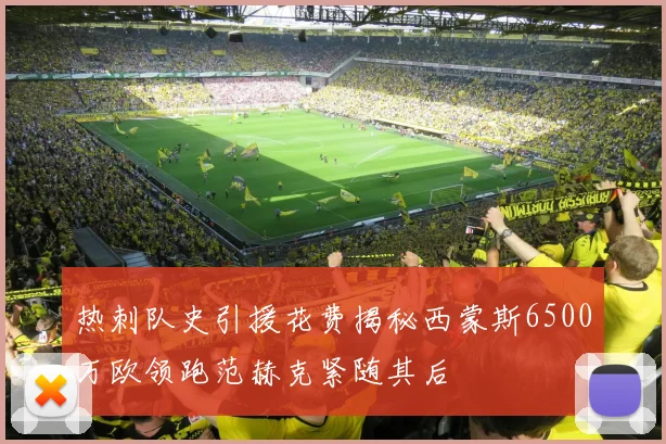 热刺队史引援花费揭秘西蒙斯6500万欧领跑范赫克紧随其后