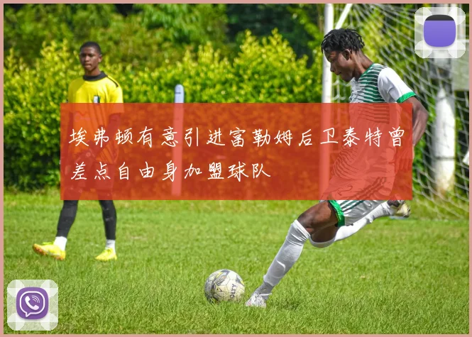 埃弗顿有意引进富勒姆后卫泰特曾差点自由身加盟球队